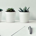 Mesa de trabajo con plantitas.