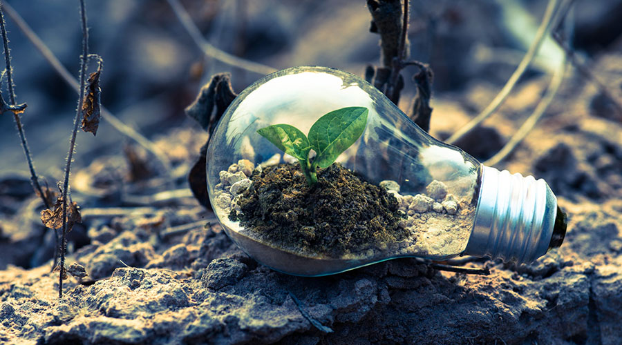 Impacto en la naturaleza de la economía circular.