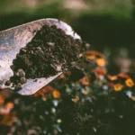 Mano con tierra abonada con compost.