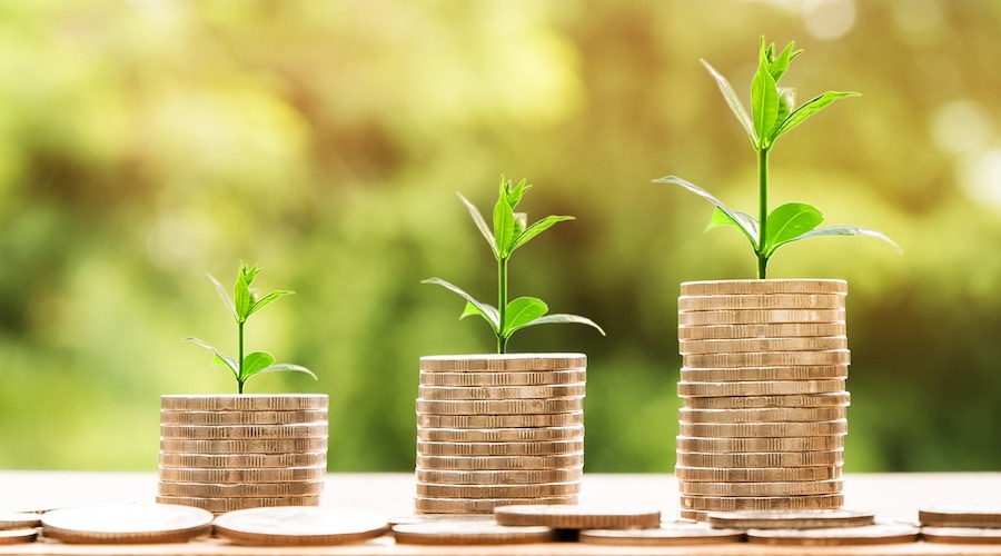 Ahorro de dinero y cuidado medio ambiente con el compostaje.