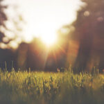 Atardecer en entorno natural.