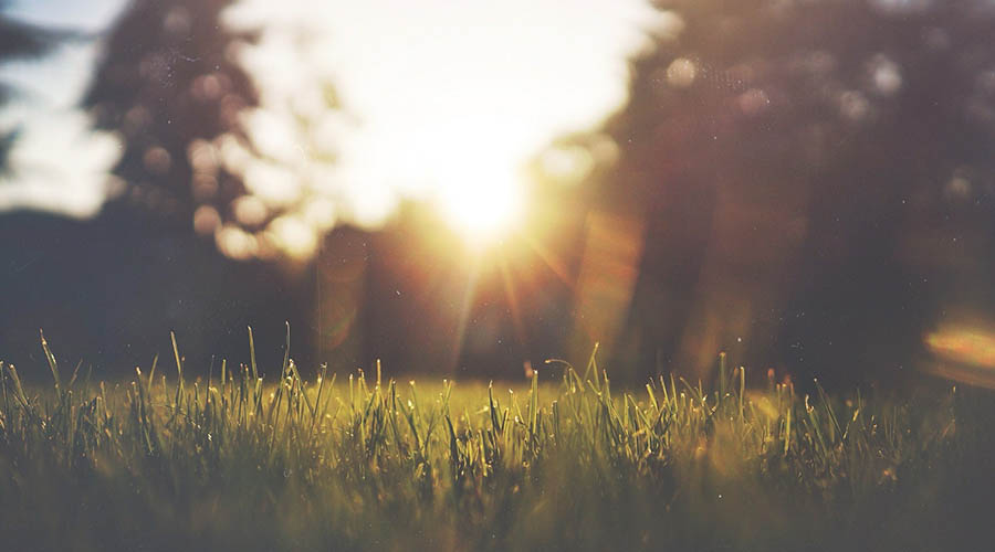 Atardecer en entorno natural.